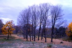 photo 0231